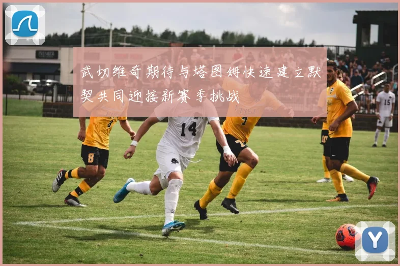 武切维奇期待与塔图姆快速建立默契共同迎接新赛季挑战