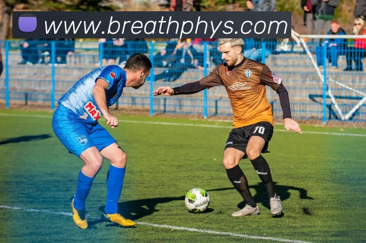 APP界面展示